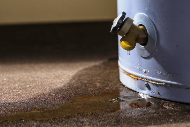 Best Mold removal after water damage  in Fort Atkinson, WI