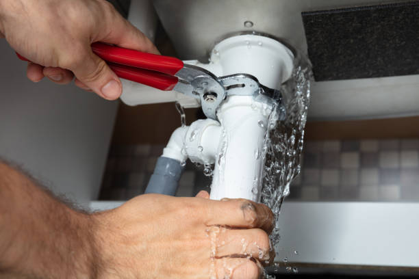 Best Fire Damage Restoration  in Fort Atkinson, WI
