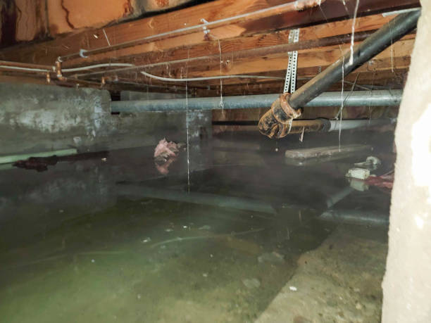 Best Emergency water damage restoration  in Fort Atkinson, WI