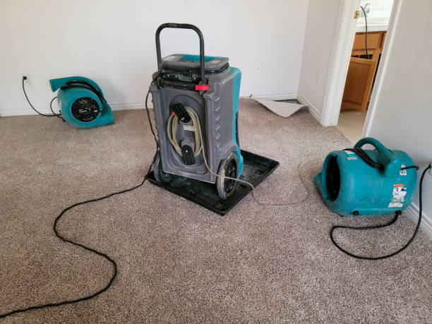 Best Residential water damage restoration  in Fort Atkinson, WI