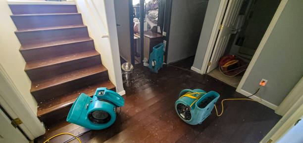 Best Water damage mitigation services  in Fort Atkinson, WI