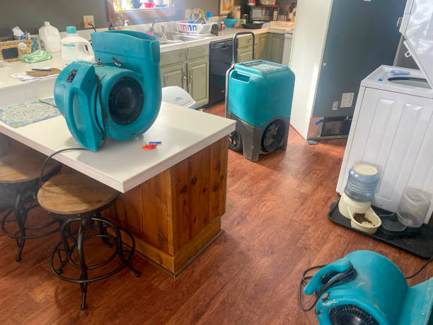 Best 24/7 water damage repair  in Fort Atkinson, WI