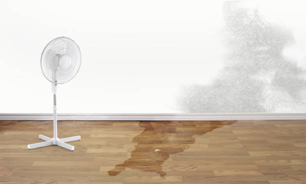 Best Professional water damage repair  in Fort Atkinson, WI