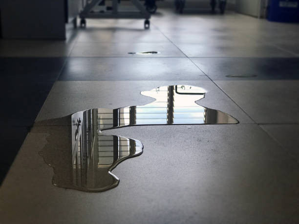 Best Water damage cleanup near me  in Fort Atkinson, WI