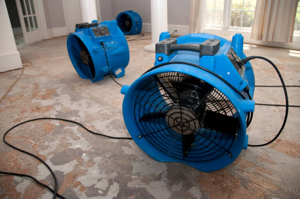 Best Water damage restoration experts  in Fort Atkinson, WI