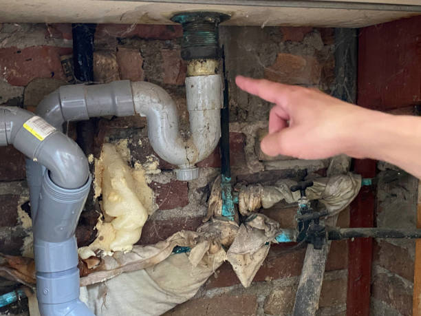 Best Flood restoration services  in Fort Atkinson, WI