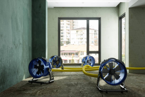 Best Basement water damage restoration  in Fort Atkinson, WI