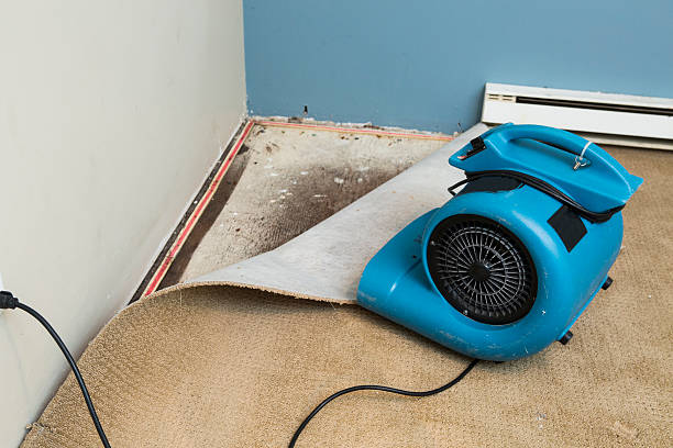 Best Carpet water damage restoration  in Fort Atkinson, WI